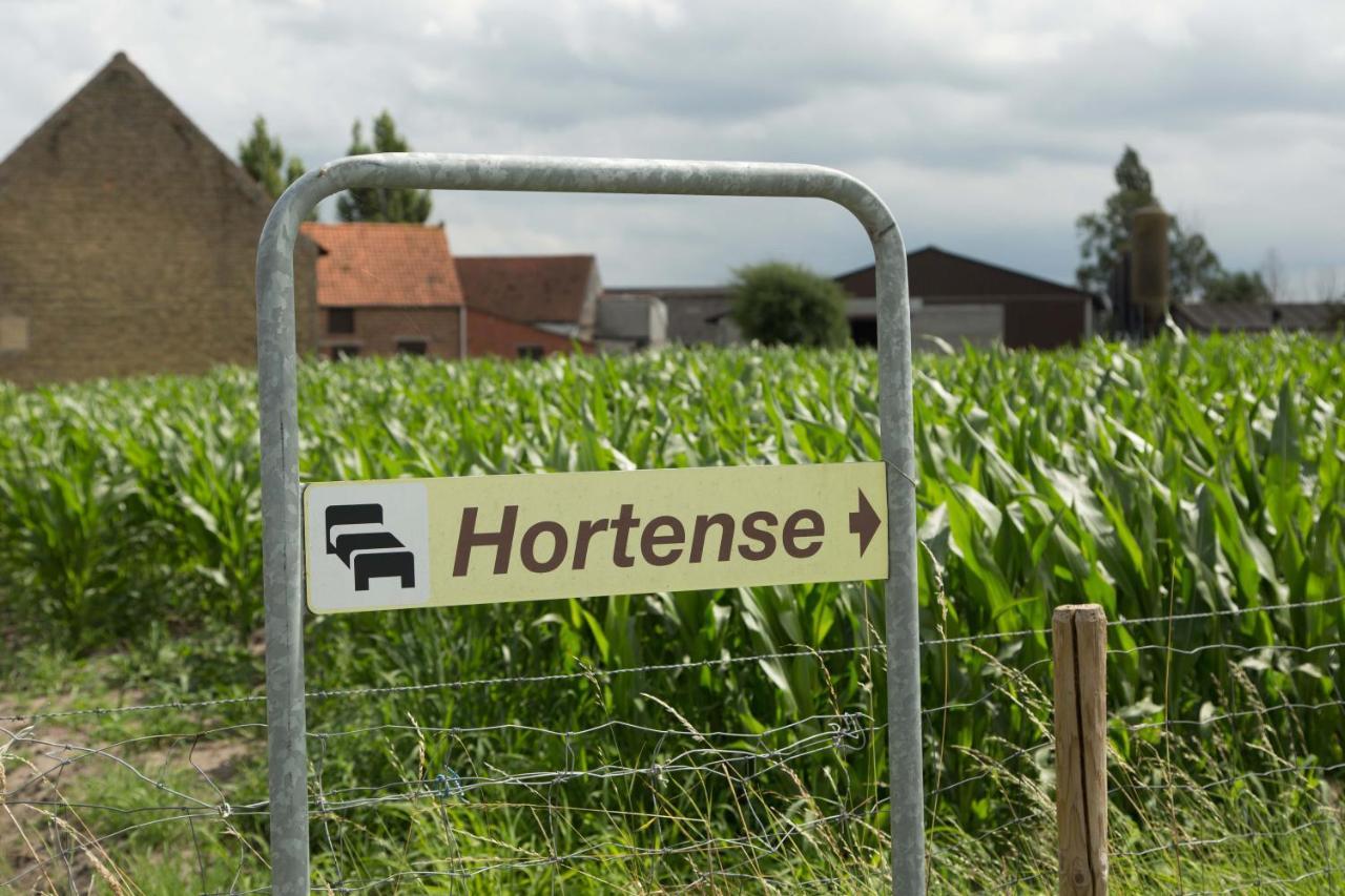B&B Hortense Koekelare Exteriér fotografie